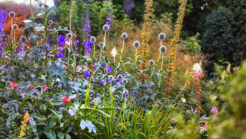 sensory garden